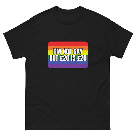 Not Gay T-Shirt - Funny Shirts
