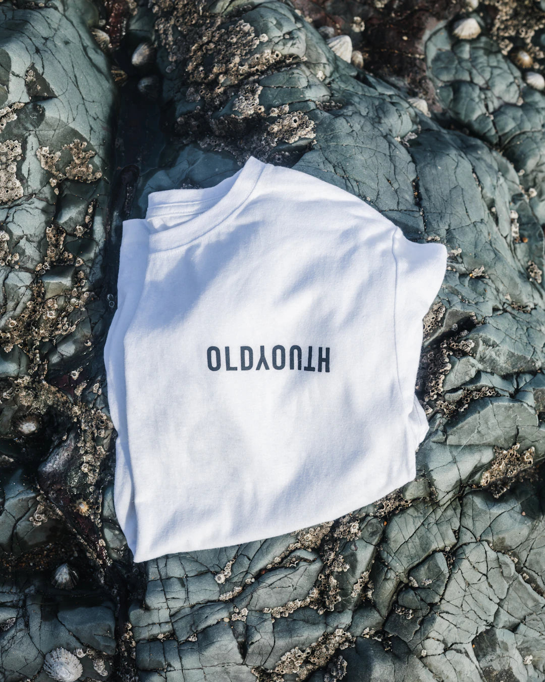 Navigating Copyright in Funny T-Shirt Designs