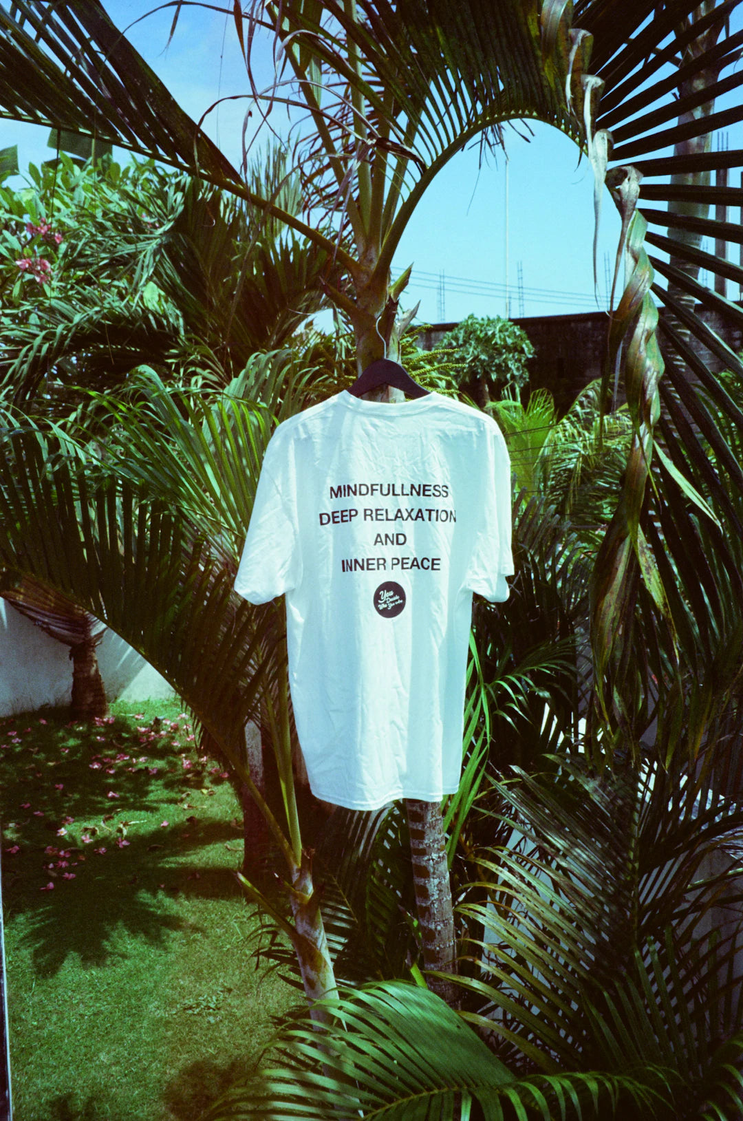Eco-Friendly Chuckles Designing Funny T-Shirts Sustainably