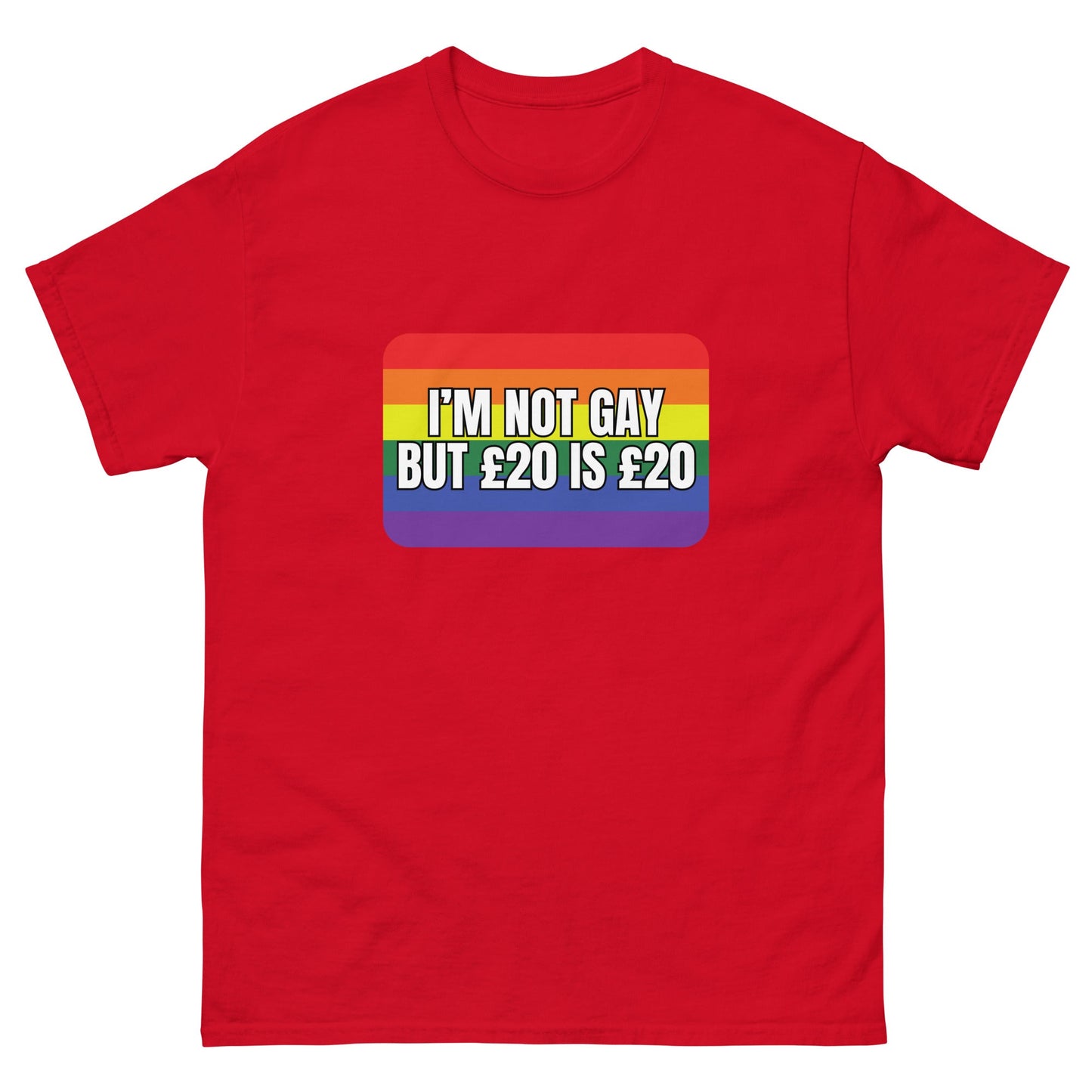 Not Gay T-Shirt - Funny Shirts