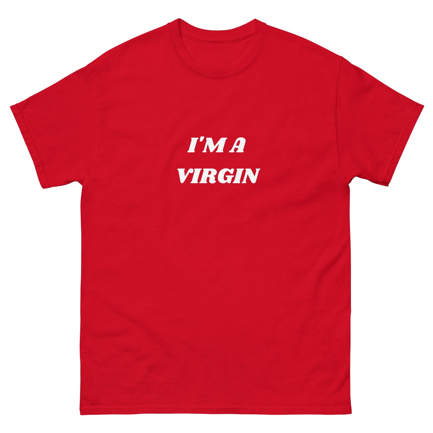 Virgin T-Shirt - Funny Shirts