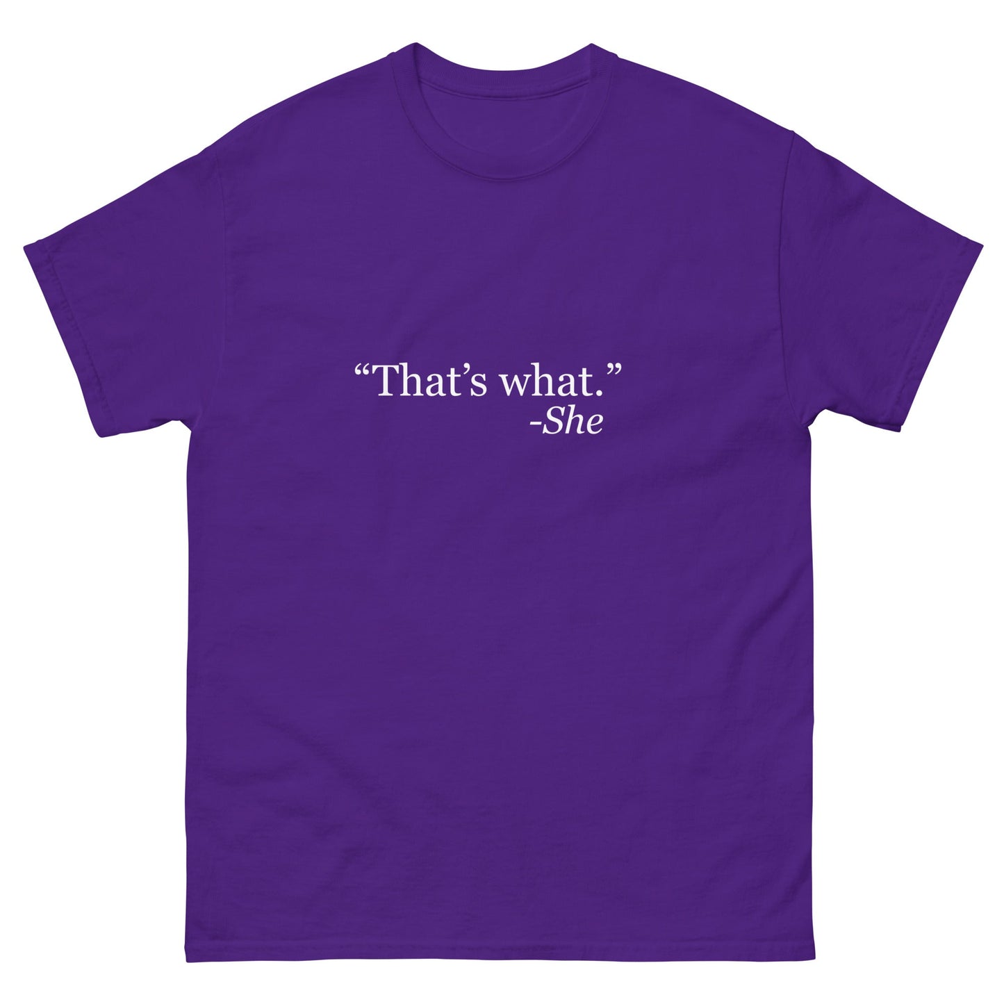 What She Said T-Shirt - Funny Shirts