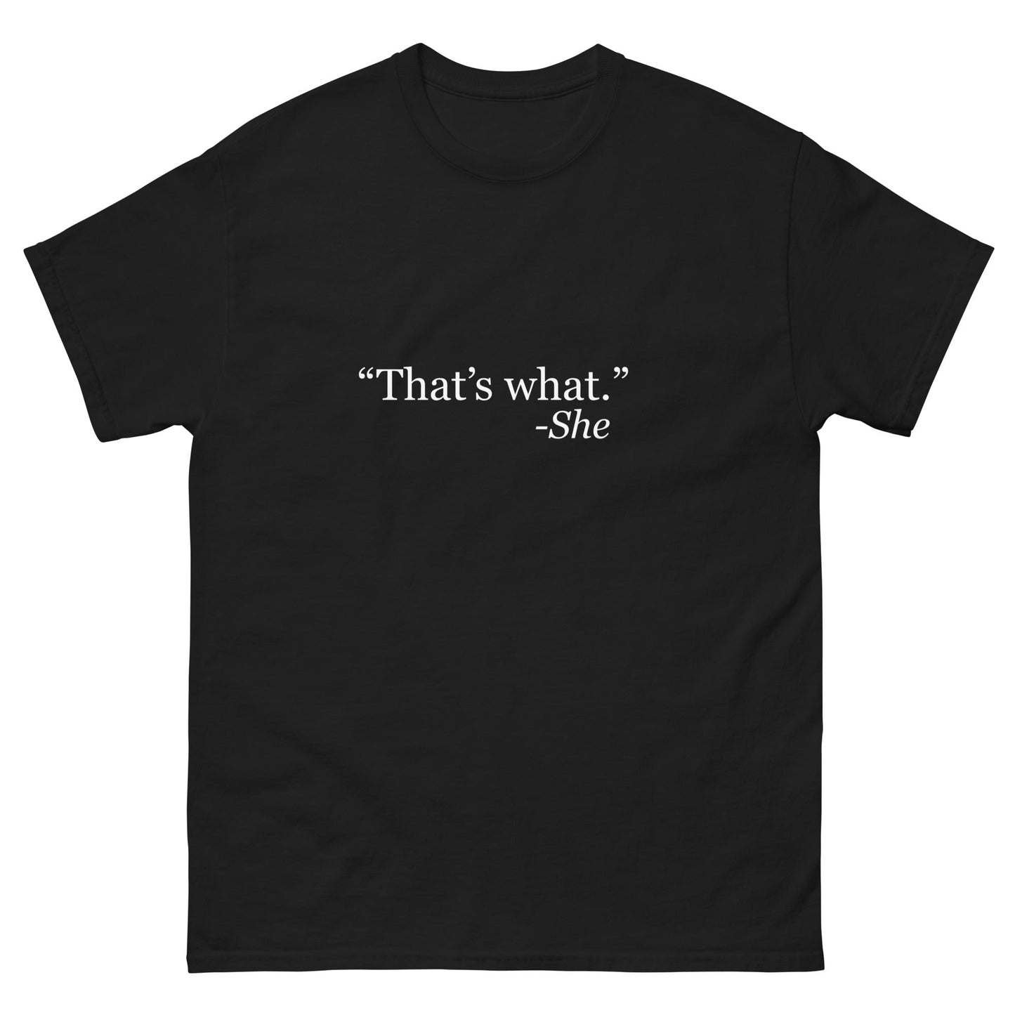 What She Said T-Shirt - Funny Shirts
