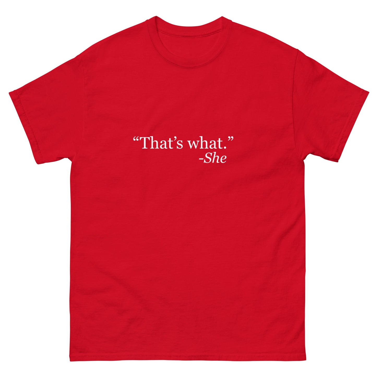 What She Said T-Shirt - Funny Shirts